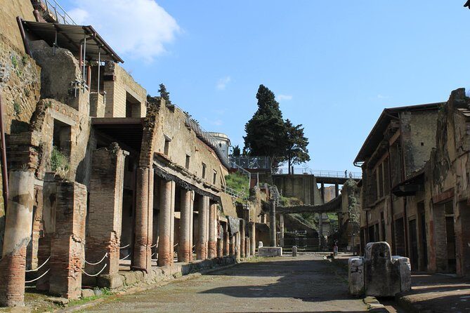 Half Day Herculaneum from Sorrento - The Sorrento-to-Herculaneum Value: What $96 Really Buys