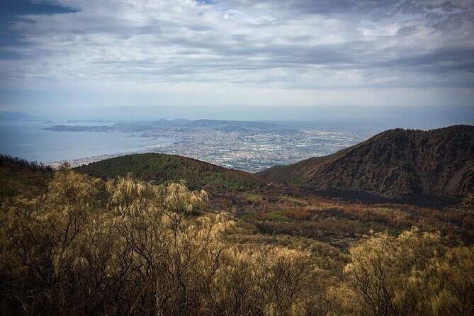 Half-Day Vesuvius Drive and Summit Hike from Naples with Lunch - Guides and on-the-ground support: why names matter
