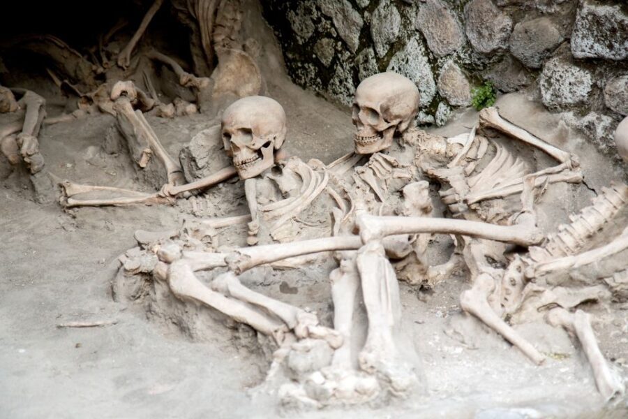 Herculaneum: 2-Hour Skip-the-Line Tour from Sorrento - Food and on-site basics: plan for snacks outside