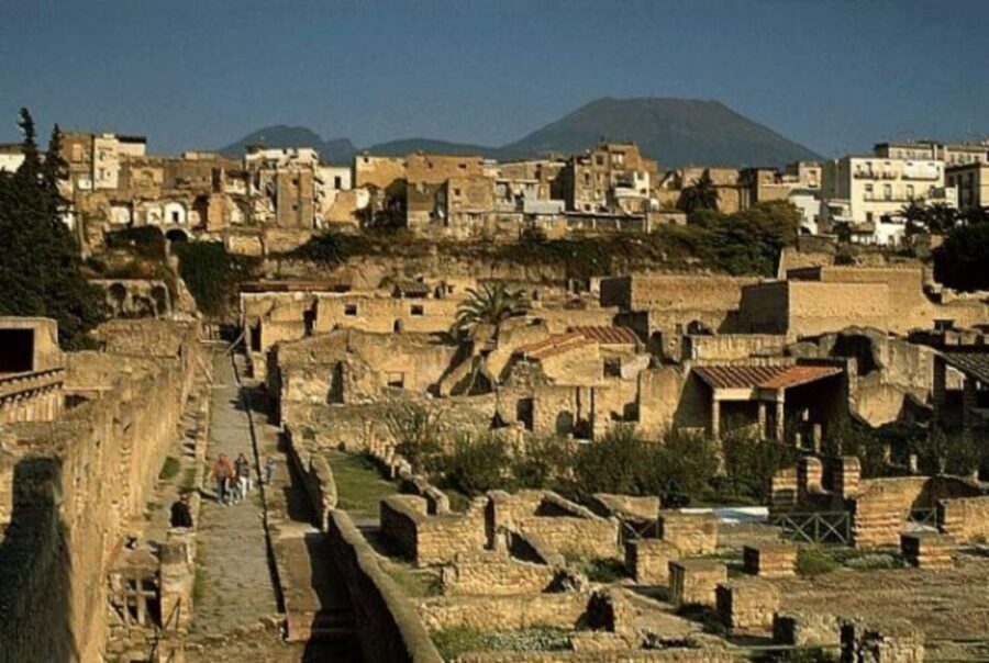 Herculaneum: 2hour Shared Guided Tour + entry tickets - Herculaneum’s “stuck in time” value