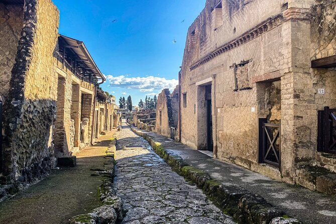 Herculaneum 3D Skip the line Walking Tour - Should you book Herculaneum 3D Skip the line?