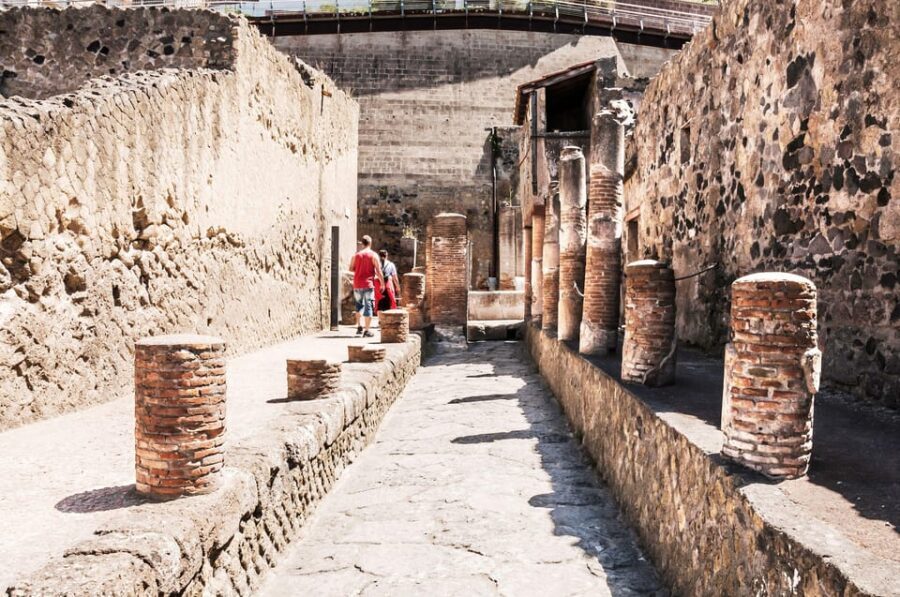 Herculaneum Guided Walking Tour with Entry Ticket - Skip-the-Line Tickets: What You Actually Gain