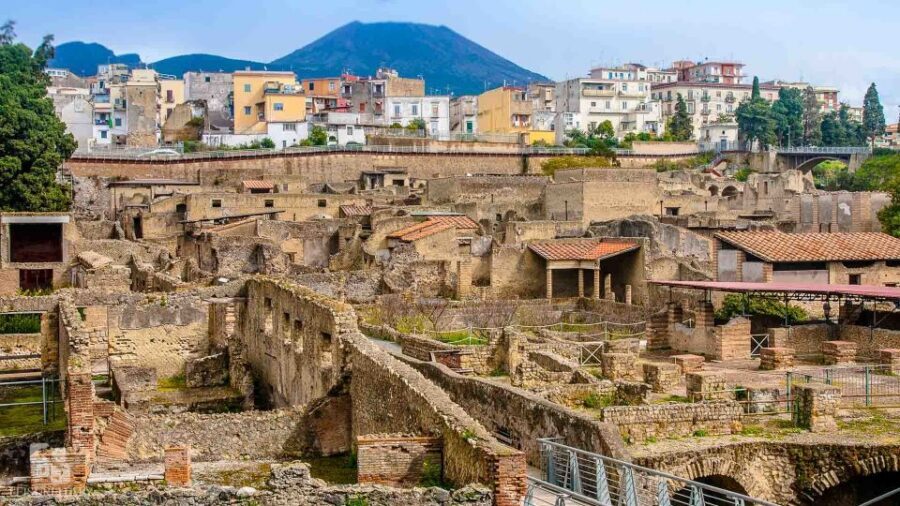 Herculaneum: Half-Day Guided Trip from Naples - Staff quality matters: friendly, and sometimes impressively organized
