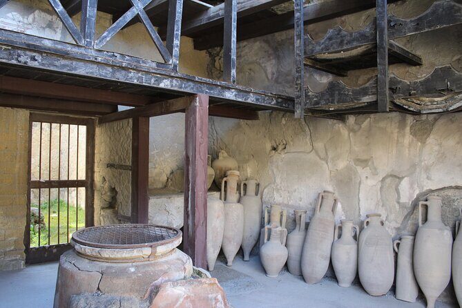 Herculaneum Private Guided Tour Led by a Local Top-rated Guide - All inclusive - Seafront villas: the House of Neptune and Amphitrite