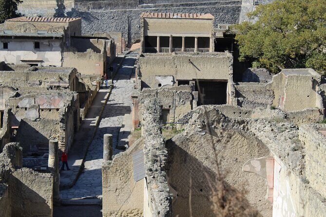 Herculaneum Private Guided Tour Led by a Local Top-rated Guide - All inclusive - Carbonized furniture and what preservation really means