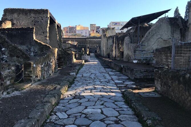 Herculaneum - Private Tour (skip-the-line admission included) - Getting in fast: what skip-the-line really changes