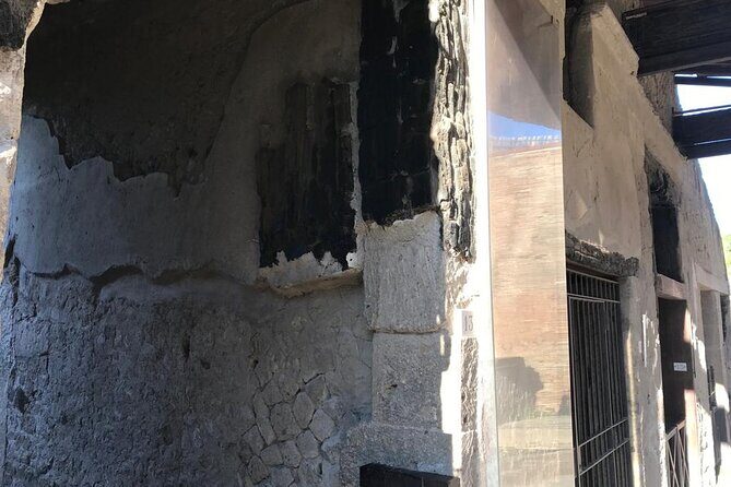 Herculaneum - Private Tour (skip-the-line admission included) - What kind of group this is best for
