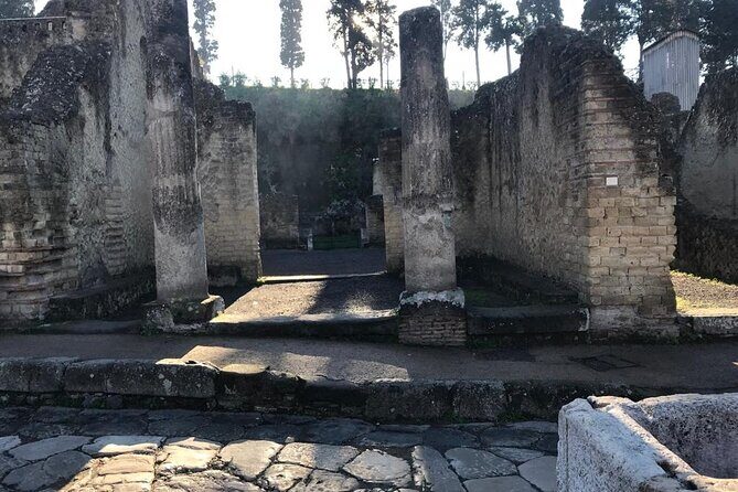 Herculaneum - Private Tour (skip-the-line admission included) - Weather and comfort: plan like a smart local