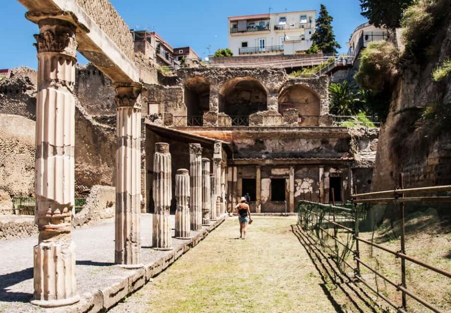 Herculaneum: Private Tour with Driver from Naples - Naples Pickup and Driver: the point is less stress
