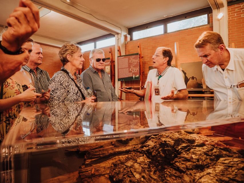 Herculaneum: Private Walking Tour with Archeologist Guide - Key things to know before you go