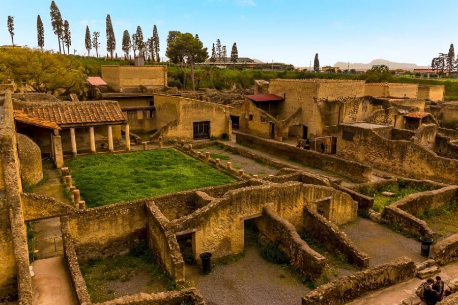 Herculaneum: Private Walking Tour with Archeologist Guide - The Forum and public life: where the city met itself