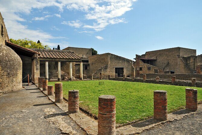 Herculaneum, Vesuvius and Pompeii Full Day Tour from Naples - Who should book this tour?