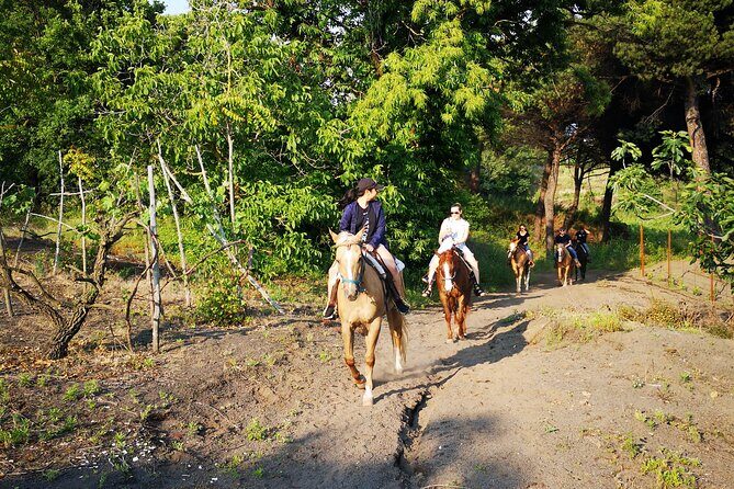 Horseback Riding on Vesuvius - The guides: warmth, instruction, and actual pacing control