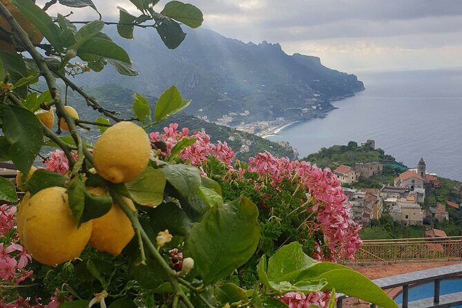Luxury Tour from Positano to Pompei Ravello Amalfi - Pompeii Archaeological Park: Walk the Streets That Stopped in 79 AD