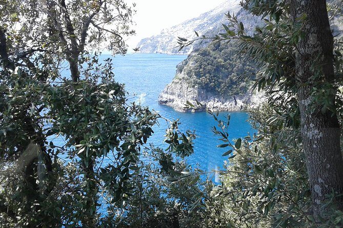 Minivan Tour | Amalfi Ravello and Pompeii with driver - Why This Naples to Amalfi and Pompeii Plan Works