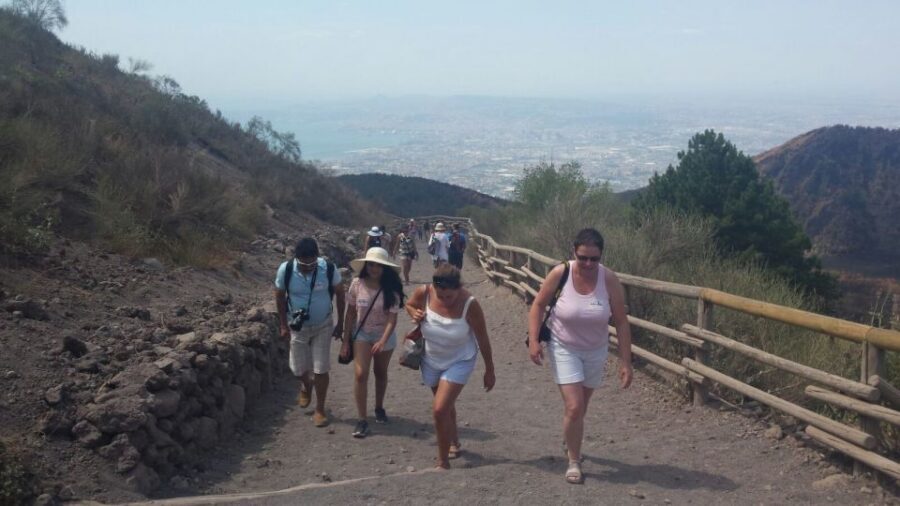 Mount Vesuvius 4-Hour Volcano Tour with Wine Tasting - Naples to Vesuvius: the fast, guided way to do it