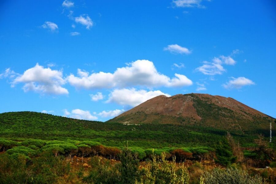 Mount Vesuvius 4-Hour Volcano Tour with Wine Tasting - Cruise ship travelers: don’t miss this detail