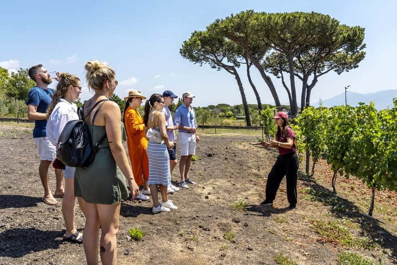 Mount Vesuvius: 5 Wine Tastings with Tour & Lunch Included - The Vesuvius Terroir Angle You Can Actually Taste