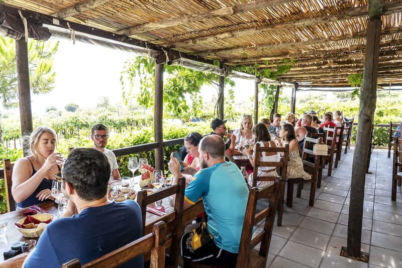 Mount Vesuvius: 5 Wine Tastings with Tour & Lunch Included - Cellar Time: How Winemaking Becomes a Tasting You Understand