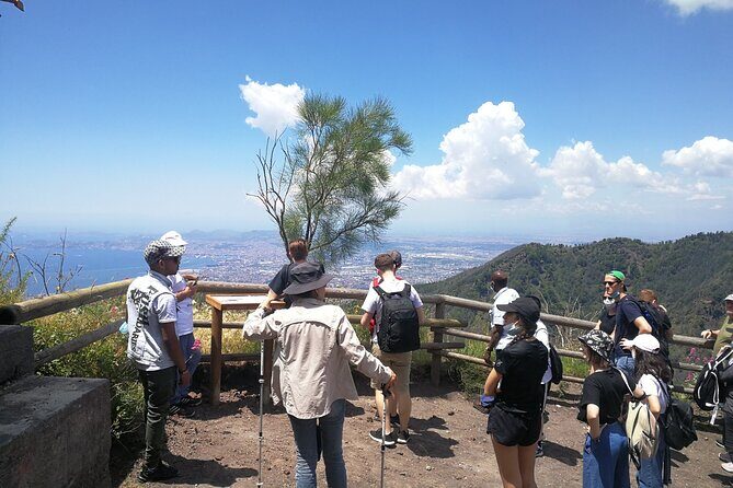 Mount Vesuvius Shore Tour, Pompeii & Winery Vesuvius Winery - Vesuvius National Park Crater Views: The Reward at the End