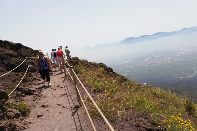 Mount Vesuvius tour by bus and ticket included from Ercolano - The included ticket value: why this matters more than it seems