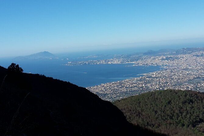 Mount Vesuvius tour by bus and ticket included from Ercolano - Getting back down: pickup timing and the top-area chaos factor