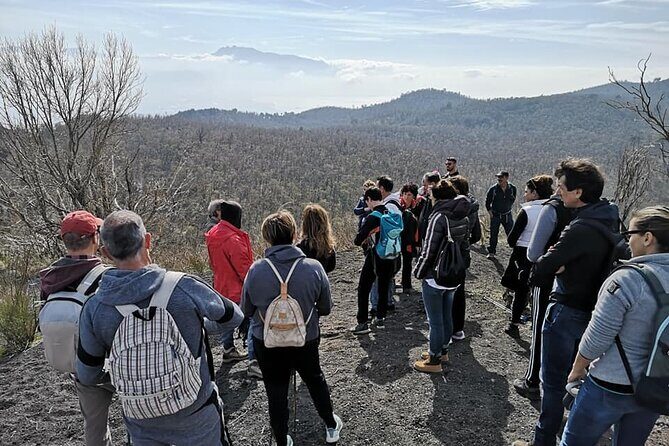 Mount Vesuvius tour by bus and ticket included from Ercolano - The bus ride up: clean comfort and serious driving skills