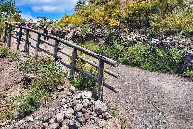 Mount Vesuvius Tour with Entry Ticket & Lunch - The Crater-Area Experience: Bus Access, Steep Ash, and a Smart Choice Point