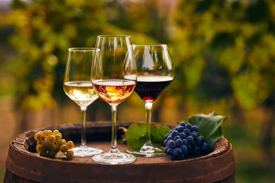 Mount Vesuvius Wine Tasting and Lunch from Pompeii - A smart 4-hour wine stop from Pompeii (without the full-day commitment)