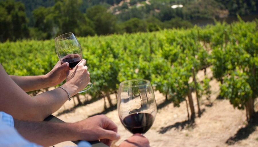 Mount Vesuvius Wine Tour with Tastings and Lunch - Who This Tour Fits Best (and Who Might Skip It)
