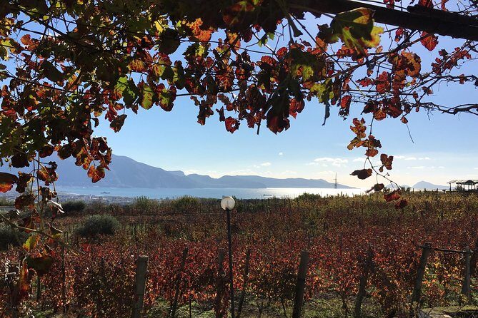 Mt. Vesuvius Wine Tasting and Lunch Experience from Pompeii - Key things that make this Mt. Vesuvius wine tasting stand out