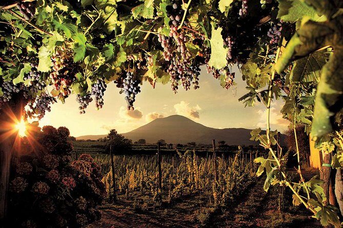 Mt. Vesuvius Wine Tasting and Lunch Experience from Pompeii - Tempio Travel check-in: the simple start that sets your day