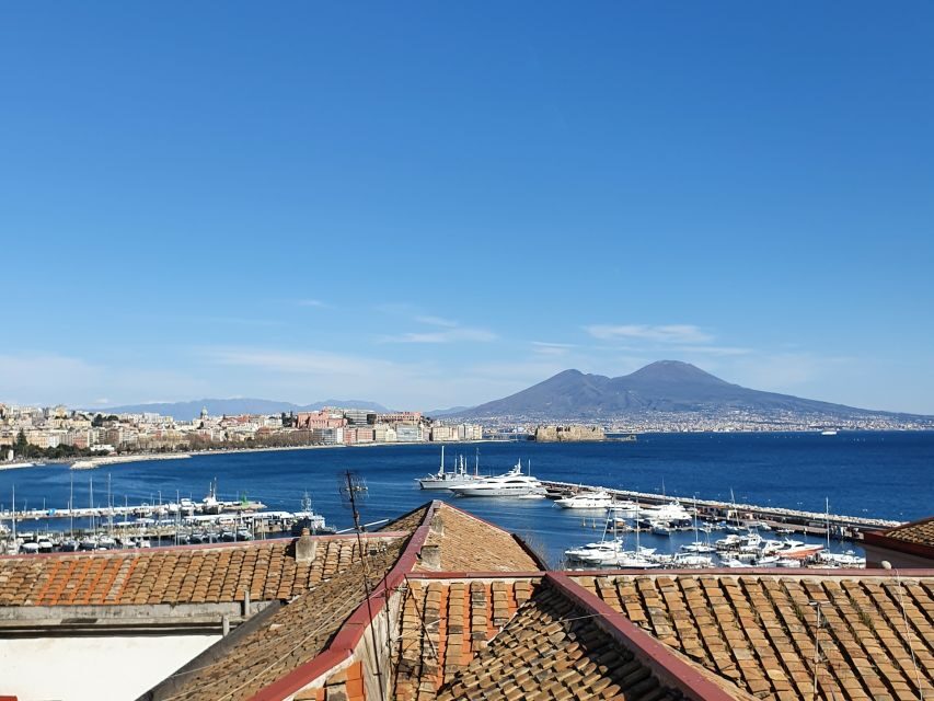 Naples: Full-Day City Tour with Pompeii and Sorrento - Guide quality is the secret ingredient