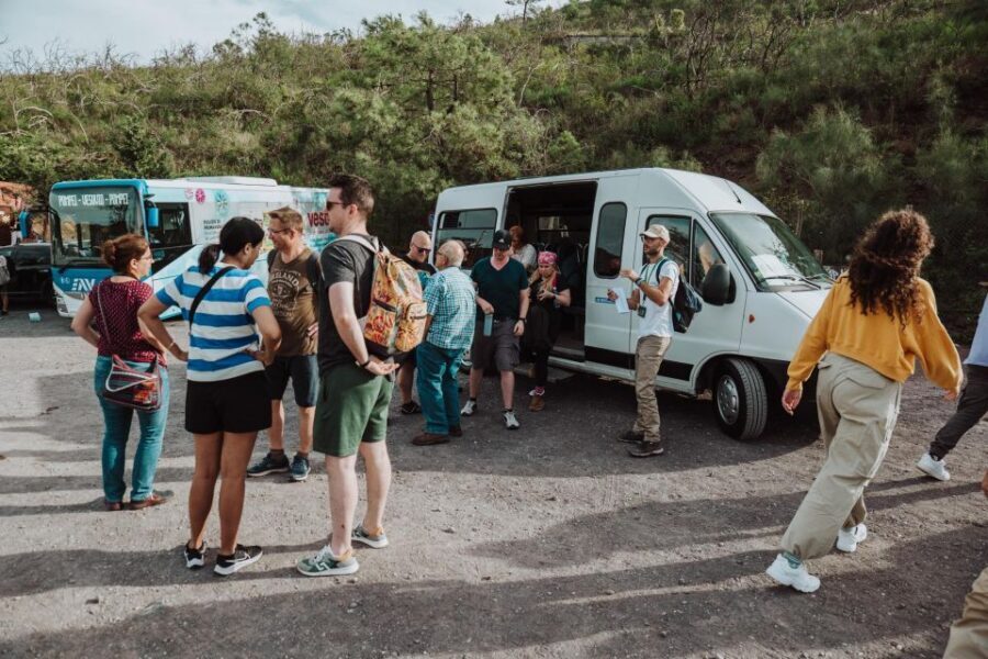 Naples: Pompeii and Mount Vesuvius Entry Tickets and Tour - Key things that make this tour worth your time