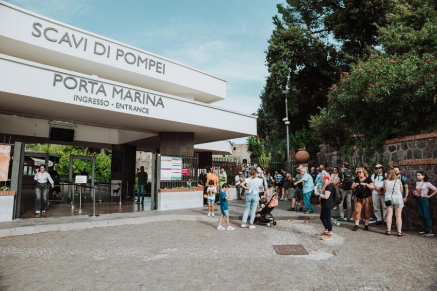 Naples: Pompeii and Mount Vesuvius Entry Tickets and Tour - Price and value: what you’re paying for at $129.14