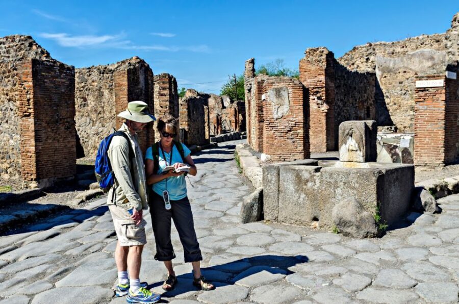 Naples: Sorrento and Pompeii with lunch & tickets included - Limoncello distillery stop: what the tasting adds to your day