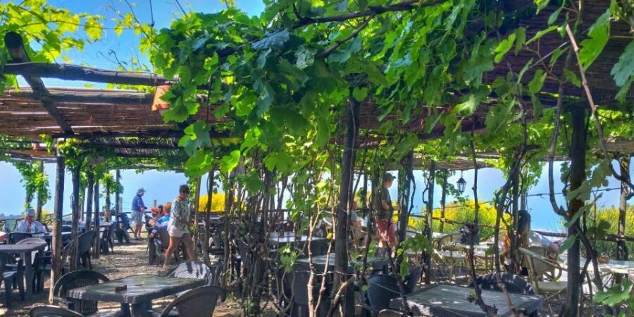 Naples: Vesuvius Half-Day Trip with Lunch and Wine Tasting - Photo stop and crater visit: where the views take over