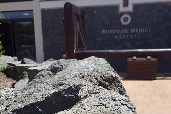 Pompei Archeological site and Wine tasting Experience - Amalfi Pickup to Pompeii: Comfort That Solves Real Problems