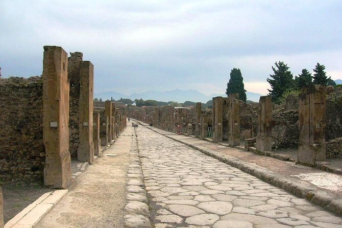 Pompei Archeological site and Wine tasting Experience - Lunch With Vesuvius Tomatoes: Food Included, Not an Afterthought
