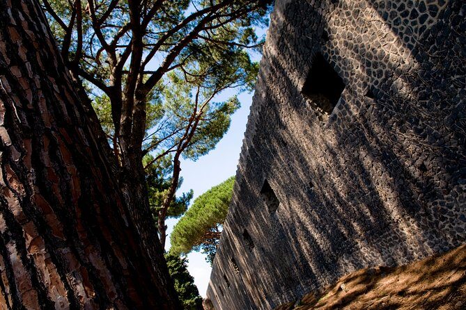 POMPEI Half Day TOUR - Departure from NAPLES Centre (TICKET INCLUDED) - The Forum, Baths, and the Lupanare: Public Life Meets Private Life