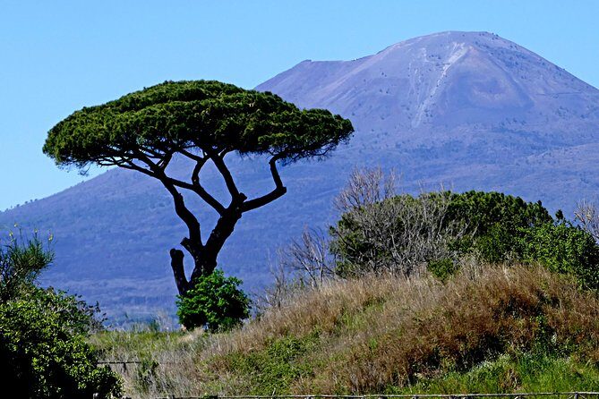 POMPEI Half Day TOUR - Departure from NAPLES Centre (TICKET INCLUDED) - Guides Like Erica, Luigi, Viktoria, Elisa, Francesca, and Michael