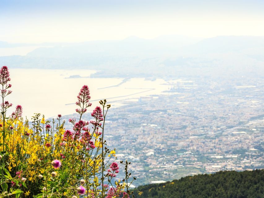 Pompei: Pompeii and Vesuvius Combo with Transfer and Tickets - Audio guide essentials: languages, rental ID, and no person guide