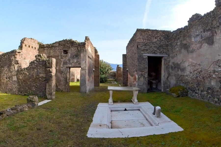Pompeii: 2 Hours Skip the Line Visit with a Licensed Guide - Pompeii in 2 Hours: what this skip-the-line format gets right