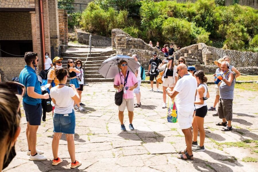 Pompeii: 2H group guided tour with a certified guide - Should you book this Pompeii tour?