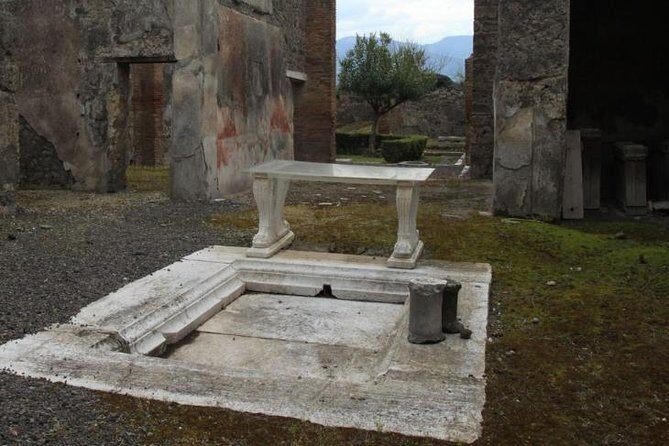 Pompeii and Amalfi Coast Port Tour (Driver Only/Self Touring) - Price and Value: What You’re Really Paying For