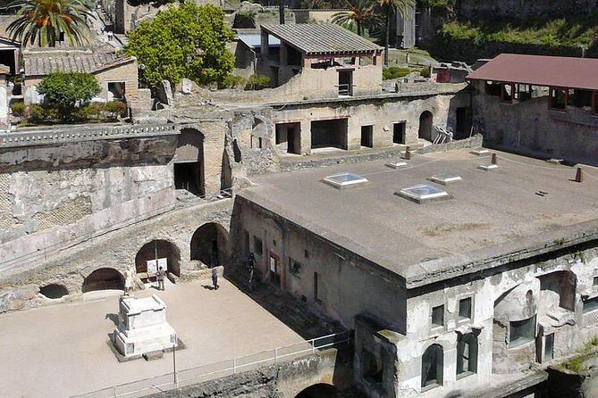Pompeii and Herculaneum Private Tour - Entrance Fees and Lunch: The Two Spots Where Plans Can Break