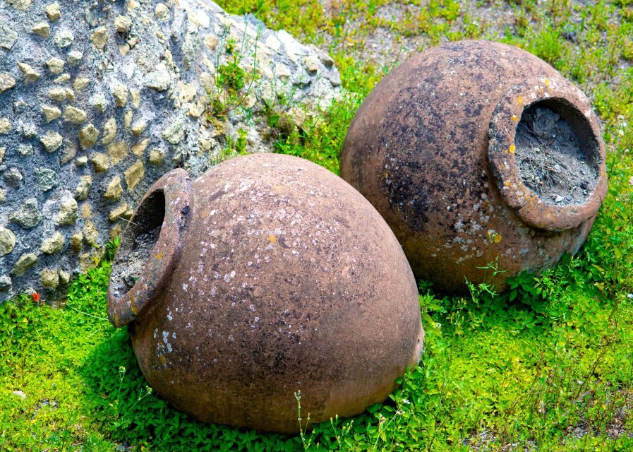 Pompeii and Herculaneum: Private Tour with Transportation - Lunch Break: A Reset Point, Not a Full Meal Included