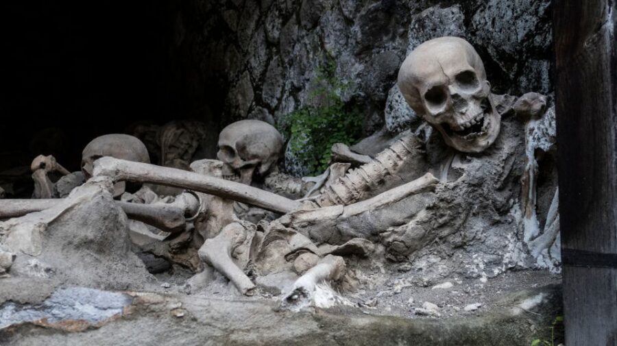Pompeii and Herculaneum: Private Tour with Transportation - Price and Value: Is $623.90 Per Person Worth It?