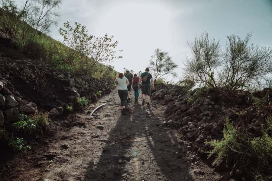 Pompeii and Mount Vesuvius excursion from Naples - Pompeii Arrival: A Short Break Before the Real Walking Starts