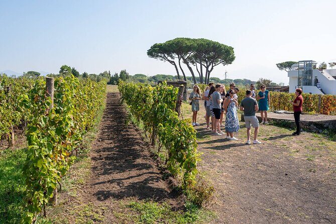 Pompeii and Naples From Rome: Private Full-Day Tour with Lunch - Guide quality can make or break the day